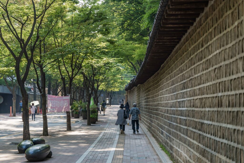 2024년 6월 덕수궁 돌담길 자료사진